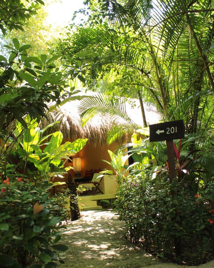 Piedra De Agua Palenque Hotel Bagian luar foto