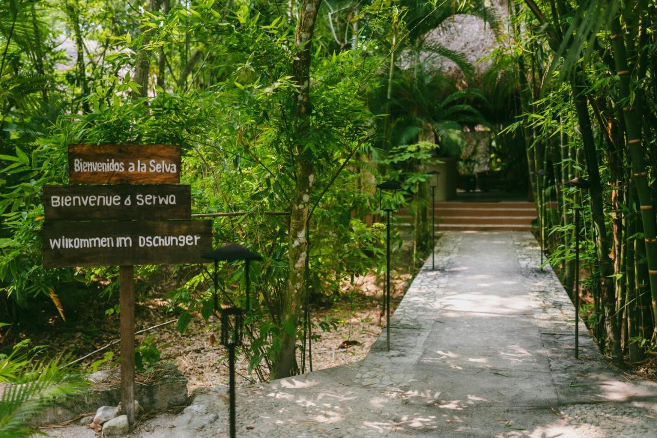 Piedra De Agua Palenque Hotel Bagian luar foto